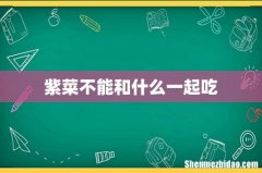 紫菜不能和什么一起吃