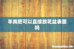 羊粪肥可以直接放花盆表面吗