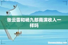 张云雷和杨九郎商演收入一样吗