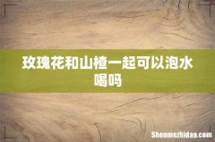 玫瑰花和山楂一起可以泡水喝吗