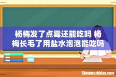 杨梅发了点霉还能吃吗 杨梅长毛了用盐水泡泡能吃吗
