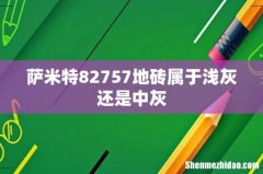 萨米特82757地砖属于浅灰还是中灰