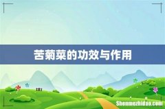 苦菊菜的功效与作用
