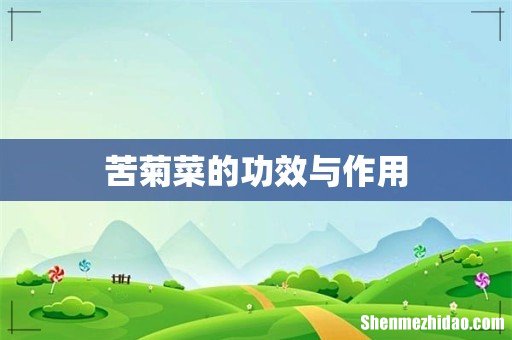 苦菊菜的功效与作用