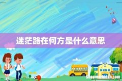 迷茫路在何方是什么意思