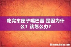吃完车厘子嘴巴苦 是因为什么？该怎么办？