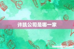 许凯公司是哪一家