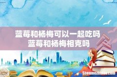 蓝莓和杨梅可以一起吃吗 蓝莓和杨梅相克吗