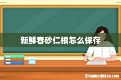 新鲜春砂仁根怎么保存