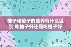 柚子和橙子的营养有什么区别 吃柚子好还是吃橙子好
