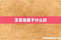 王菲是属于什么的