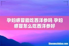 孕妇感冒能吃西洋参吗 孕妇感冒怎么吃西洋参好