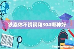 铁素体不锈钢和304哪种好