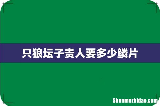 只狼坛子贵人要多少鳞片