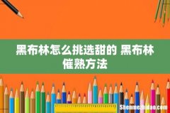 黑布林怎么挑选甜的 黑布林催熟方法