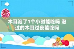 木耳泡了1个小时能吃吗 泡过的木耳过夜能吃吗