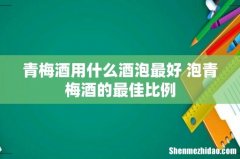 青梅酒用什么酒泡最好 泡青梅酒的最佳比例