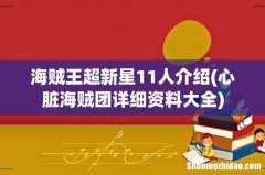 心脏海贼团详细资料大全 海贼王超新星11人介绍