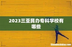 2023三亚民办专科学校有哪些