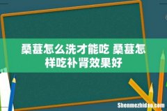 桑葚怎么洗才能吃 桑葚怎样吃补肾效果好