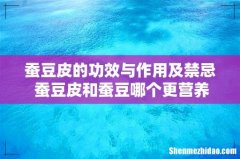 蚕豆皮的功效与作用及禁忌 蚕豆皮和蚕豆哪个更营养