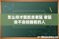 怎么样才能赶走老鼠 老鼠会不会咬睡着的人