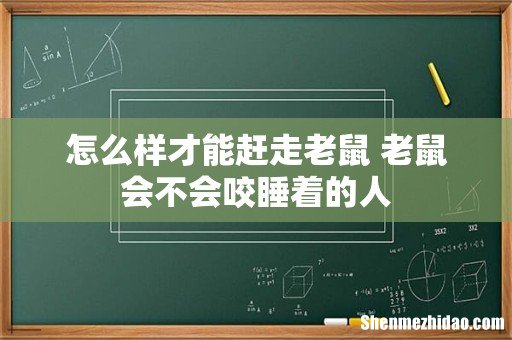 怎么样才能赶走老鼠 老鼠会不会咬睡着的人