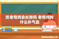 吃老母鸡会长胖吗 老母鸡炖什么补气血