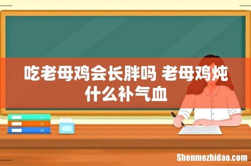吃老母鸡会长胖吗 老母鸡炖什么补气血