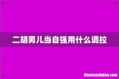 二胡男儿当自强用什么调拉