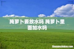 腌萝卜要放水吗 腌萝卜里面加水吗
