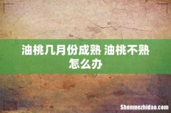 油桃几月份成熟 油桃不熟怎么办