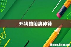 郑钧的前妻孙锋