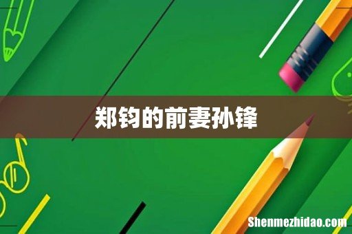 郑钧的前妻孙锋