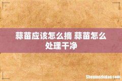 蒜苗应该怎么摘 蒜苗怎么处理干净