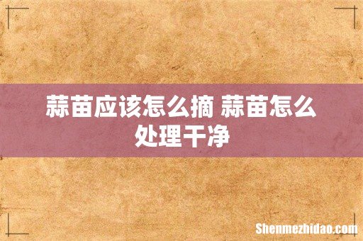 蒜苗应该怎么摘 蒜苗怎么处理干净