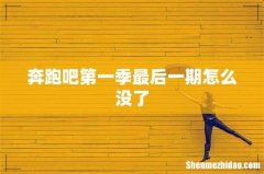 奔跑吧第一季最后一期怎么没了