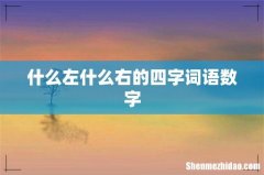 什么左什么右的四字词语数字