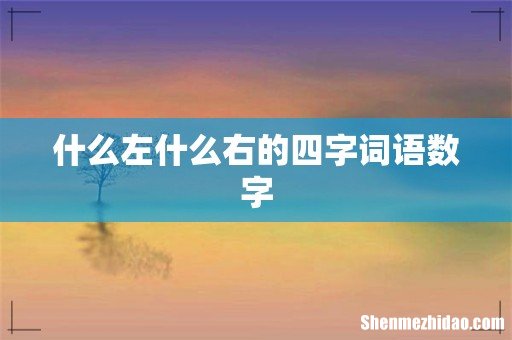 什么左什么右的四字词语数字