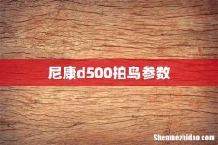 尼康d500拍鸟参数