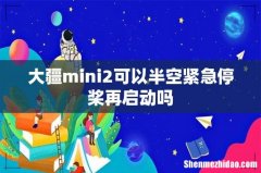 大疆mini2可以半空紧急停桨再启动吗