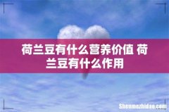 荷兰豆有什么营养价值 荷兰豆有什么作用