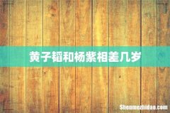 黄子韬和杨紫相差几岁