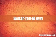 杨洋和付辛博谁帅