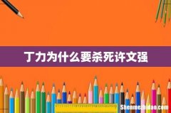 丁力为什么要杀死许文强