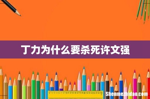 丁力为什么要杀死许文强