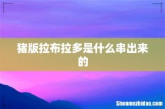 猪版拉布拉多是什么串出来的
