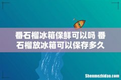 番石榴冰箱保鲜可以吗 番石榴放冰箱可以保存多久