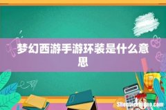 梦幻西游手游环装是什么意思