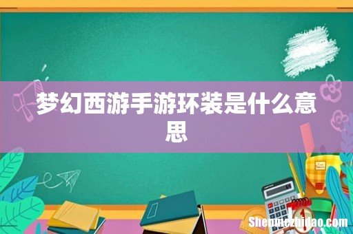 梦幻西游手游环装是什么意思